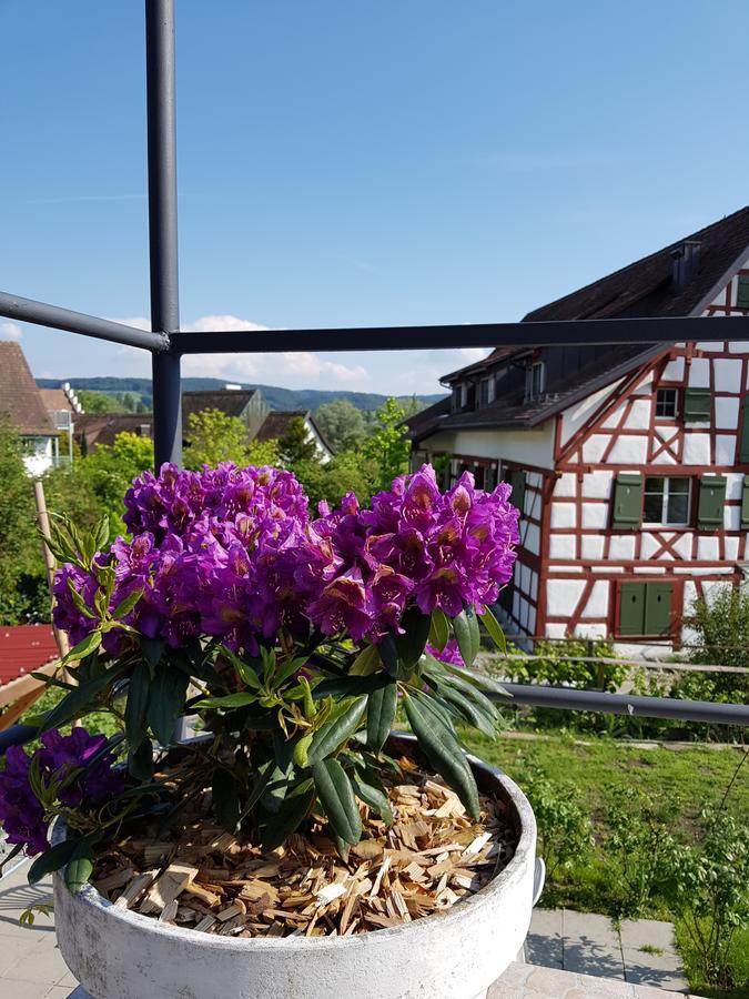 Garni-Hotel Muehletal Stein Am Rhein Zewnętrze zdjęcie