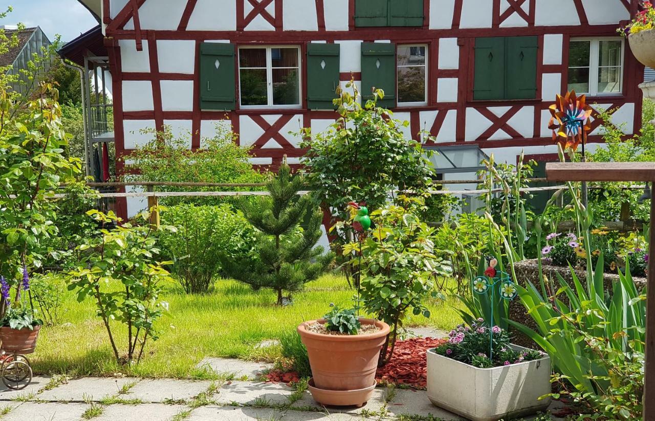 Garni-Hotel Muehletal Stein Am Rhein Zewnętrze zdjęcie