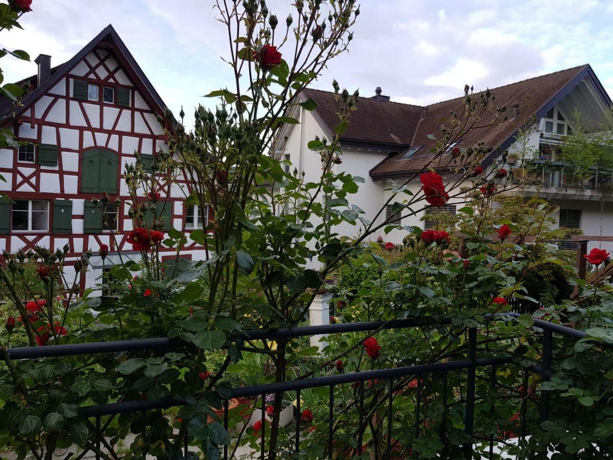 Garni-Hotel Muehletal Stein Am Rhein Zewnętrze zdjęcie