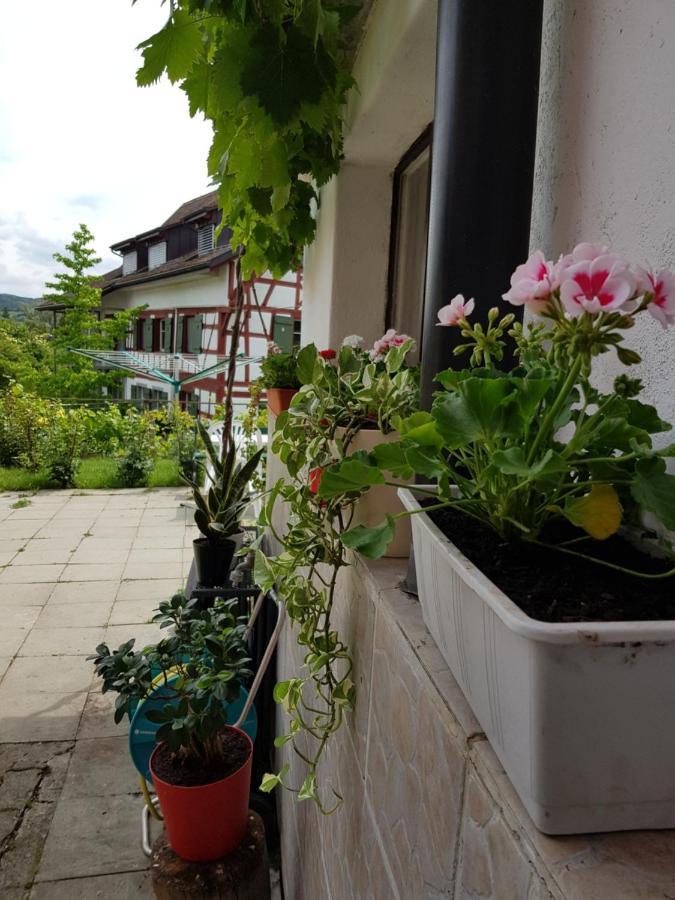 Garni-Hotel Muehletal Stein Am Rhein Zewnętrze zdjęcie