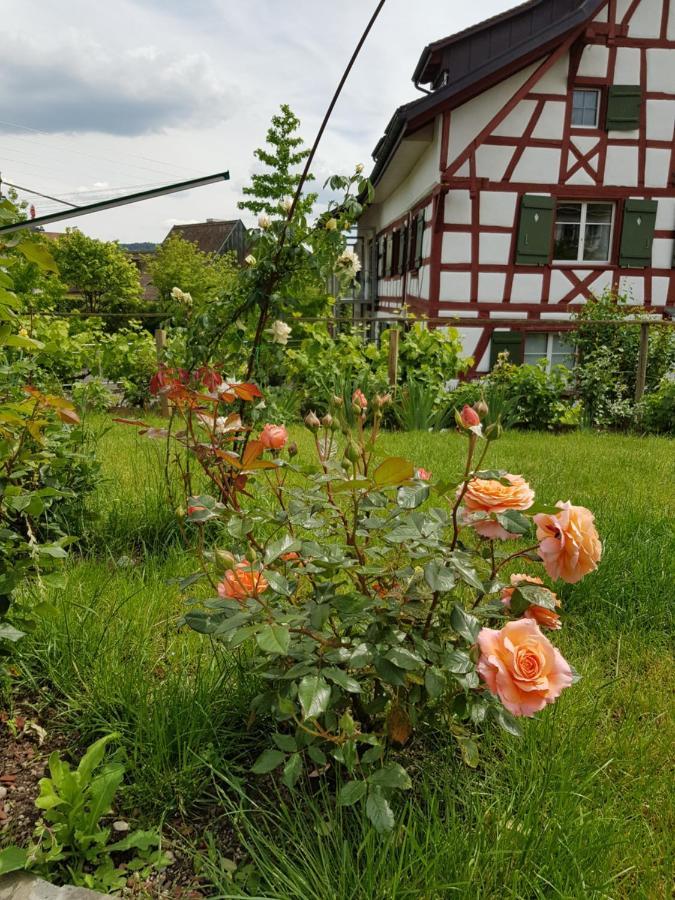 Garni-Hotel Muehletal Stein Am Rhein Zewnętrze zdjęcie