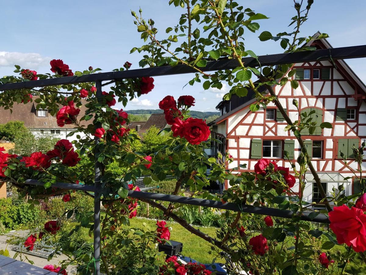 Garni-Hotel Muehletal Stein Am Rhein Zewnętrze zdjęcie